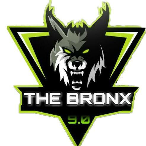 The Bronx 9.0
