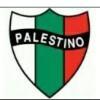 🇨🇱Palestino
