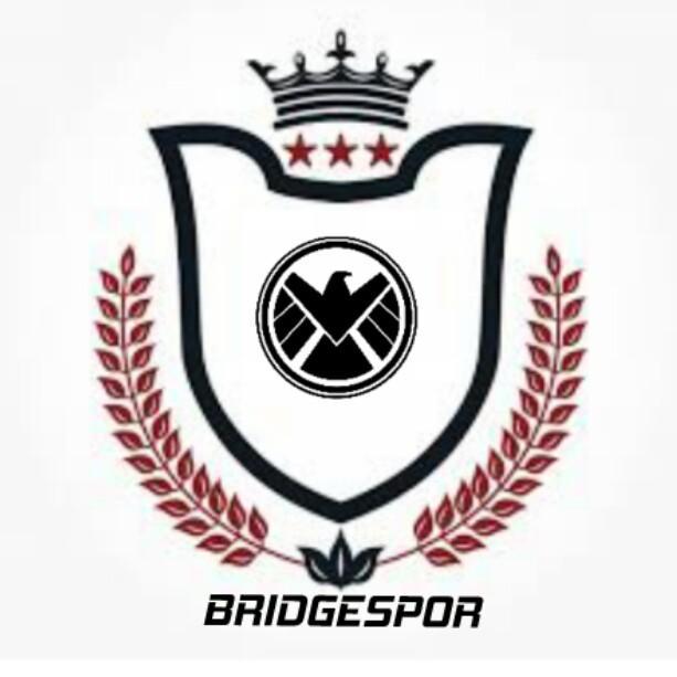 1● 《0.9°Bridgesleague》 - BRIDGESPOR