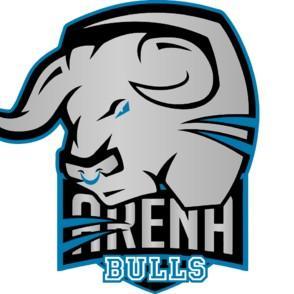 Arena Bulls