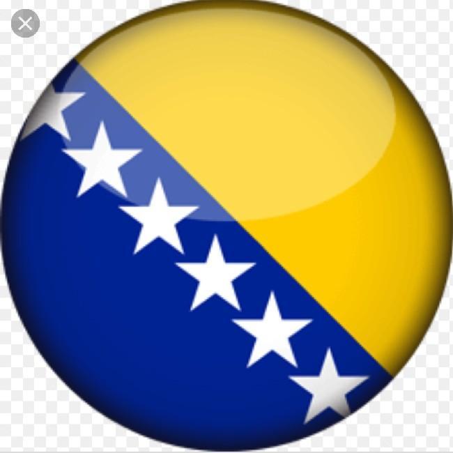 BiH