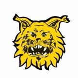 Ilves