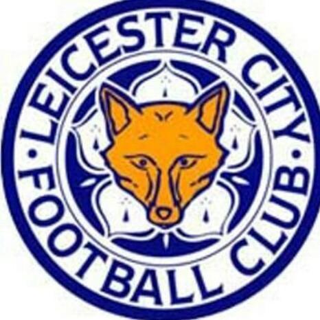 Leicister city