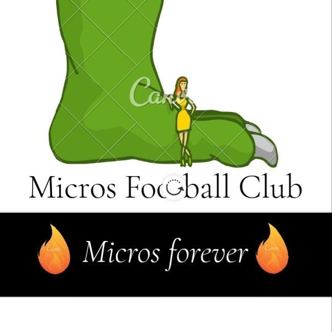 Micros