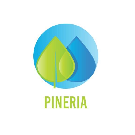 PINERIA FC