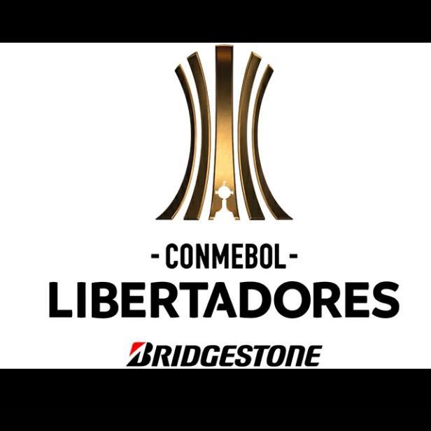 3Copa Bridgestone Libertadores,sul-americana e liga argentina