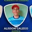 Alisson Galego
