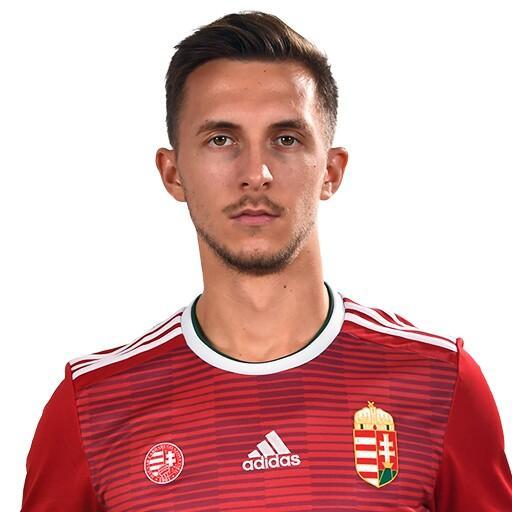 Nagy Dominik