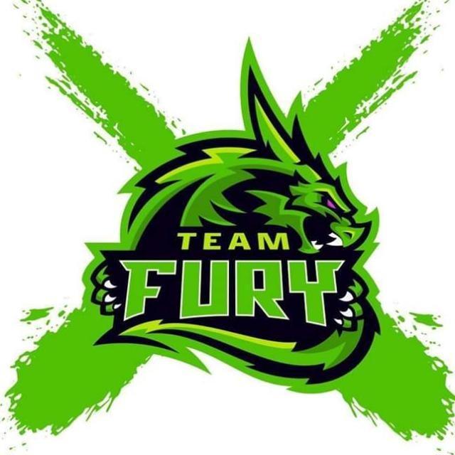 Team Fury