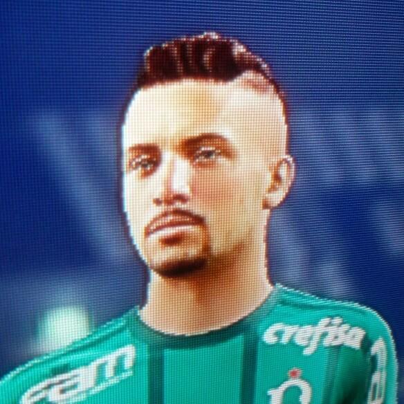 FitBruno