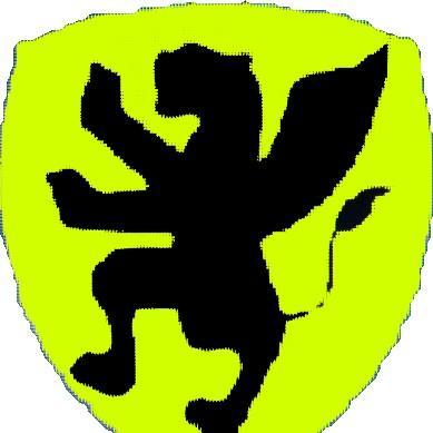 FC Dragonfire