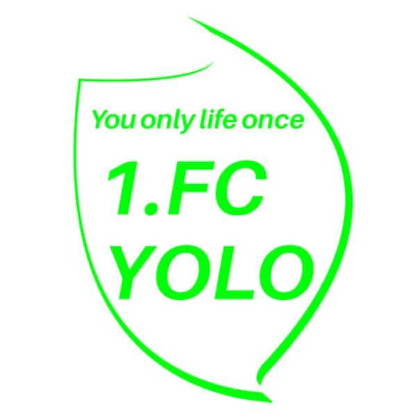1.FC YOLO