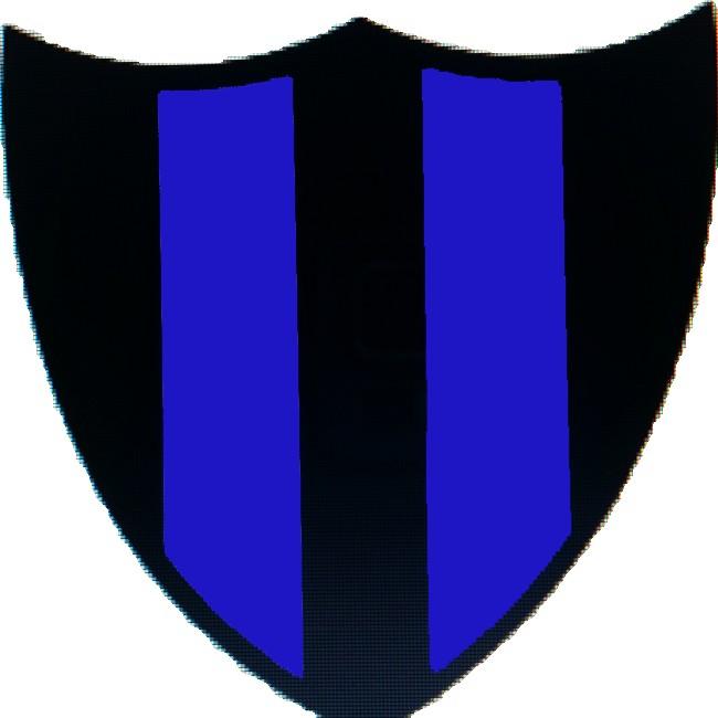 1.FC Joju 2011