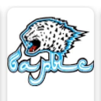 Barys astana