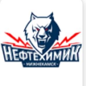Nizehamsk