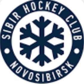 Sibir novoborisk