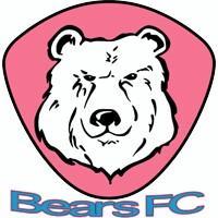 Insurance Management Bears