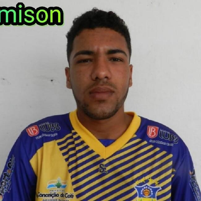 Demison