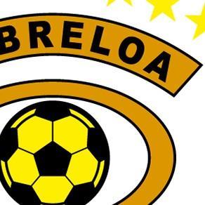 Cobreloa