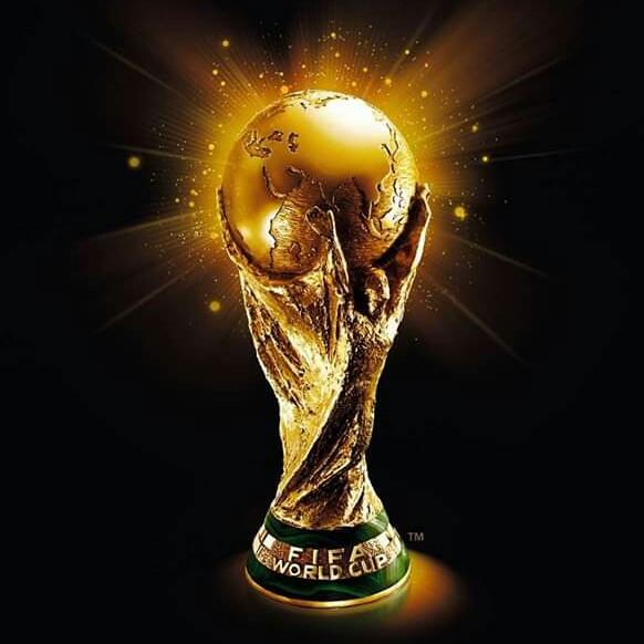 FIFA WORLD CUP 13