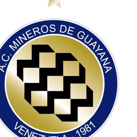Mineros de Guayana