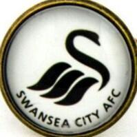 swansea city