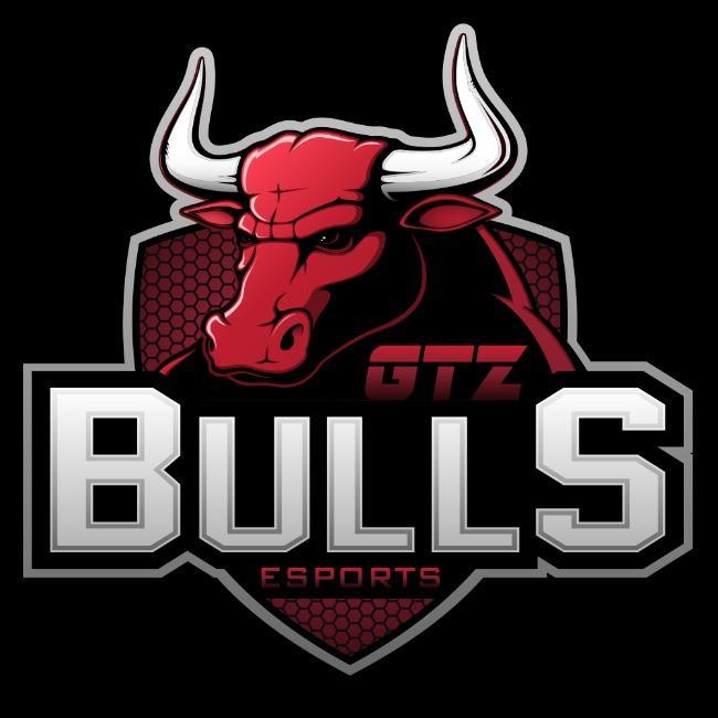 GTZ BULLS