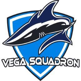 Vega Squadron