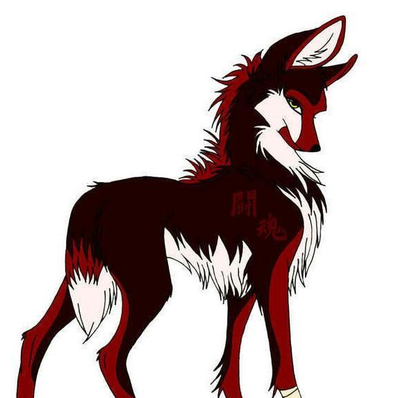 Anime Wolves