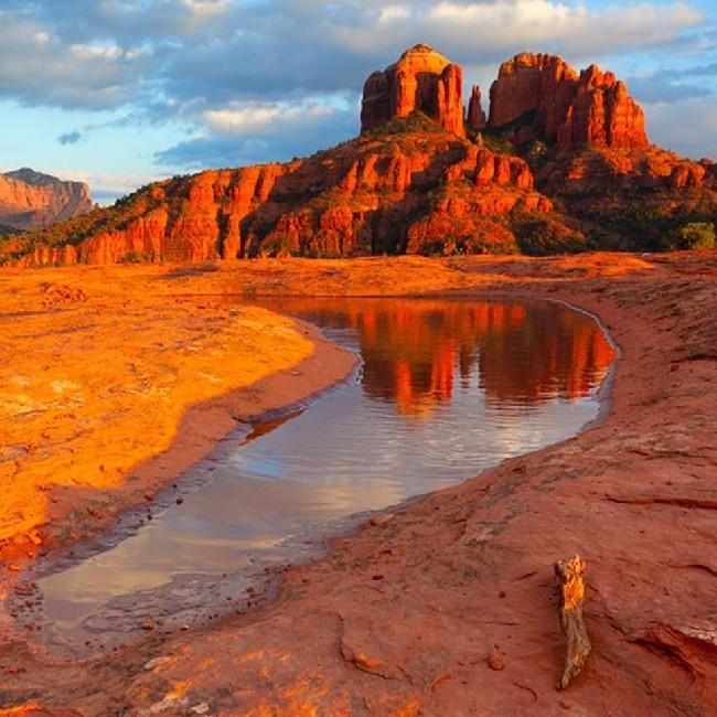 Arizona