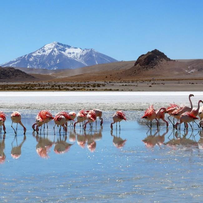 Bolivia