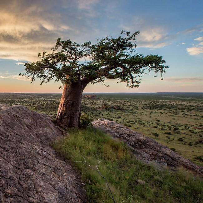 Botswana