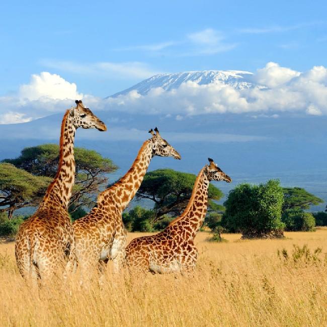 Kenya