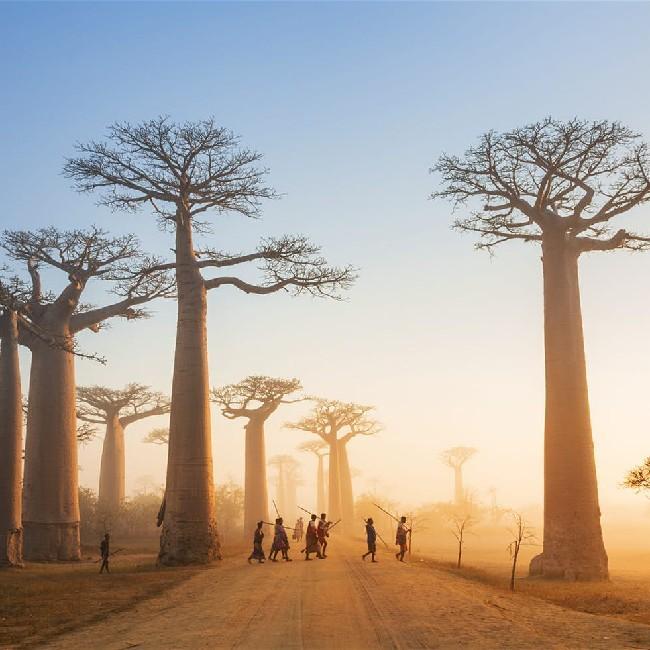 Madagascar