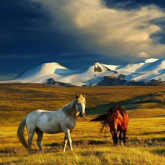 Mongolia