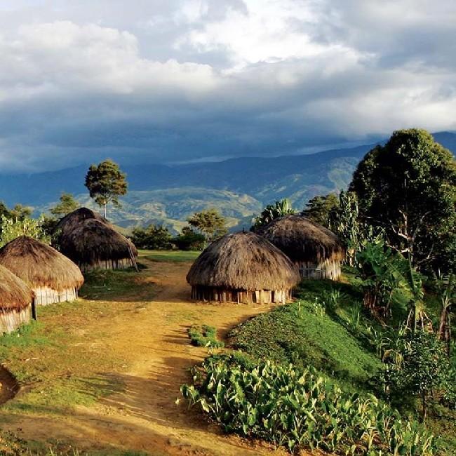 Papua New Guinea
