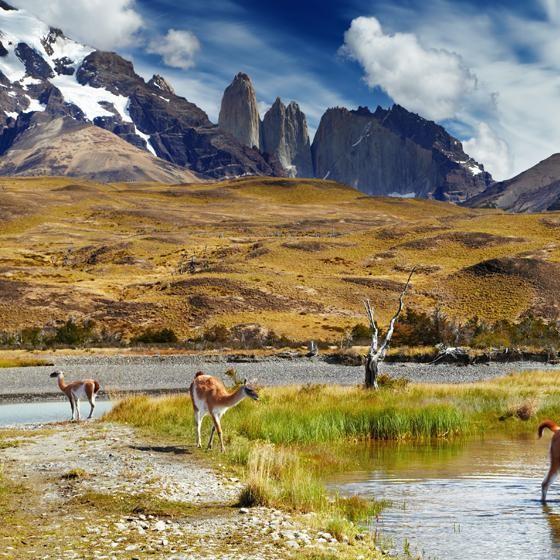 Patagonia