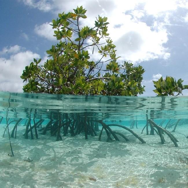 Tuvalu