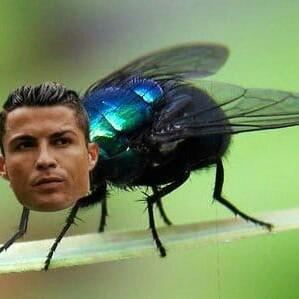 El Bisho FC