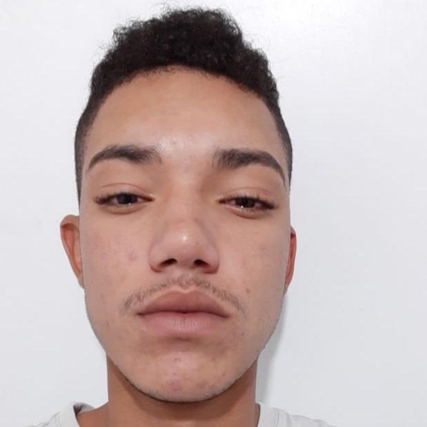 Paulo Henrique da Silva