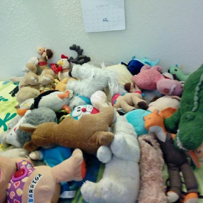 Futbol ositos sin nombre