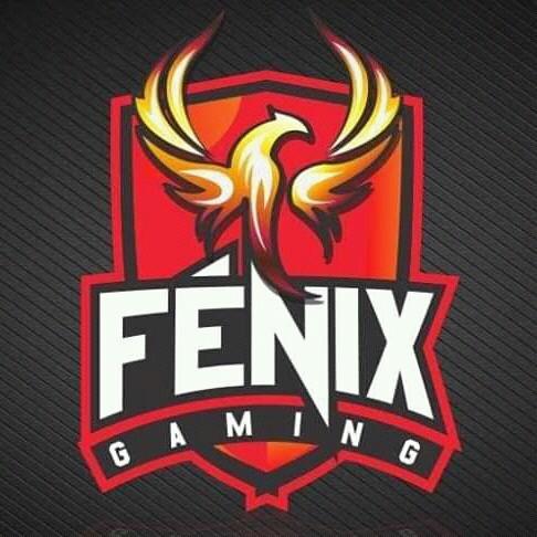 Fenix Gaming