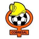 COBRESAL