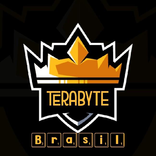 Terabyte Brasil Valorant