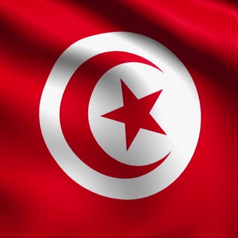Saddem Salek