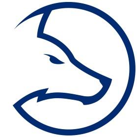Team LDLC