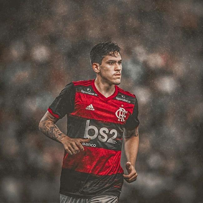 ATA Pedro