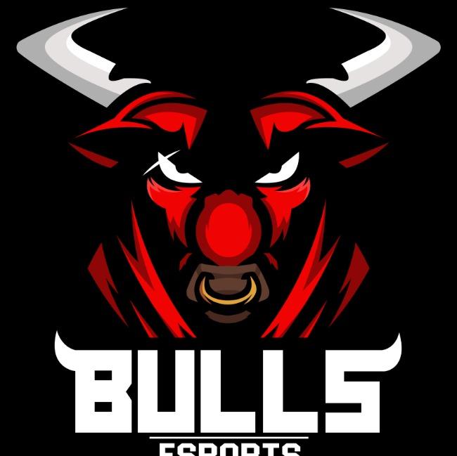 Bulls eSports
