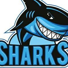 Sharks Club