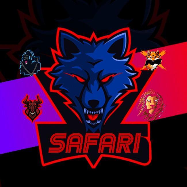 Safari